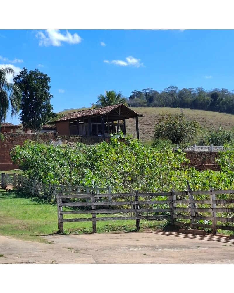 Cave de vieillissement Dom Tapparo - Distillation artisanale